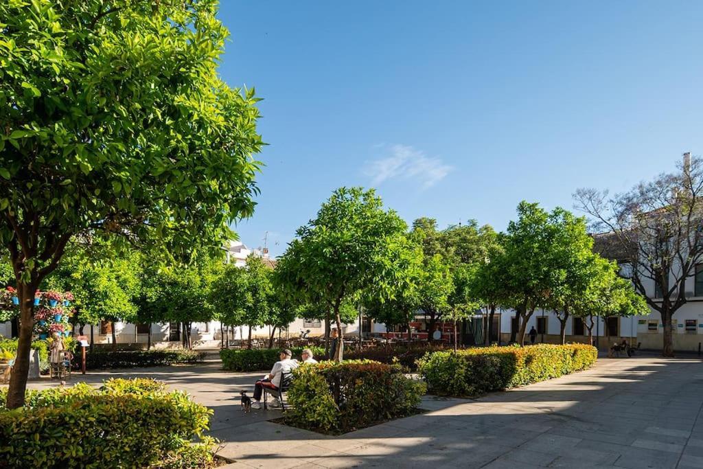 Premium - Arcos De Medina 202 Apartamento